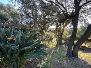 Villa avec piscine vue mer 4 chambres à Saint-Clair Le Lavandou