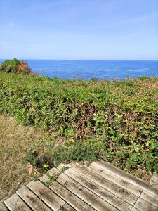 Villa Teresa sul mare img8