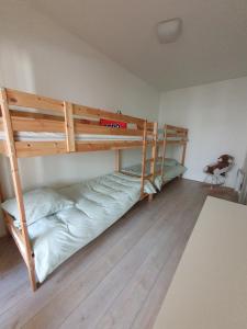 Appartements Appartement 220m2 15P avec Sauna, hyper center Luchon : photos des chambres