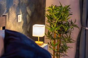 Appartements Balneotherapy, cozy, family-friendly : photos des chambres