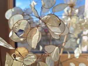 Ferienwohnung am Auenweg