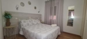 Single Room room in Hostal Los Escudos
