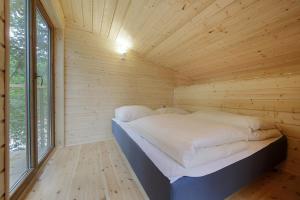 Apartamenty wśród drzew River Park