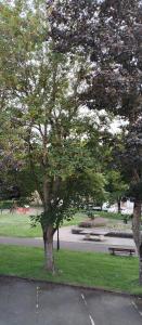 Chambres indépendantes et lumineuses