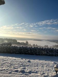 Brzezina Resort - Wille