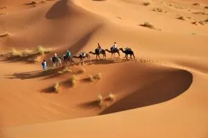 Erg Chebbi Desert Glamping - Merdoni