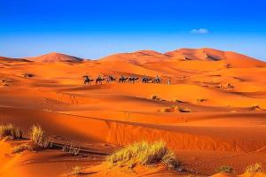 Erg Chebbi Desert Glamping