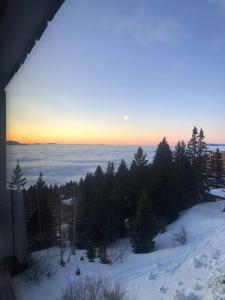 Appartements Appartement cosy a Chamrousse avec vue sur montagne + 34m². : photos des chambres