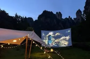 Cozy Boutique Hotel - 张家界