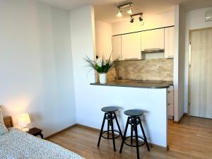 SMM Apartament Stettin