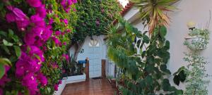 Villa Larnia de Tenerife