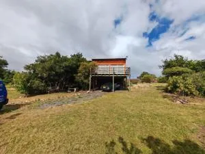 Los Suaro - Mariscala