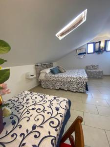 B&B FRAI