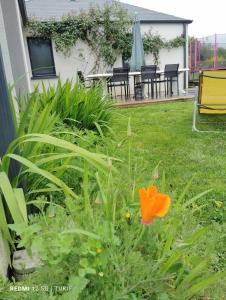 Maisons de vacances Logrment entier 8 personnes circuit 24h : photos des chambres