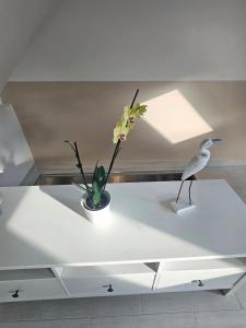 Salix Guesthouse by Mital