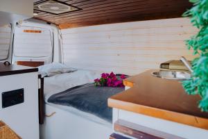 Camper Majona