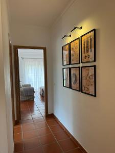 Burgo D Manuel Pinhal 14