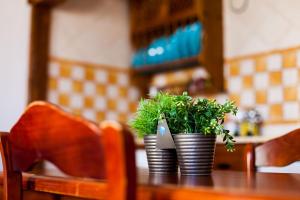 Estudio Atalaya Alto