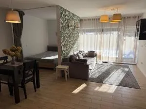 Jaukūs apartamentai Free parking - Vilnius