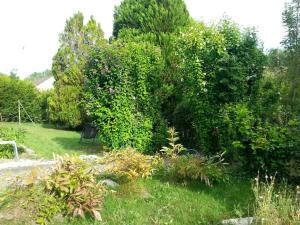 Appartements Giverny, Cosy studio au vert : photos des chambres