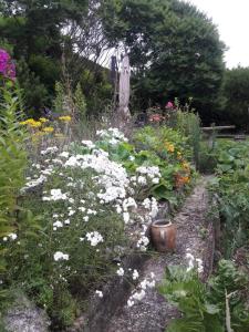 Appartements Giverny, Cosy studio au vert : photos des chambres