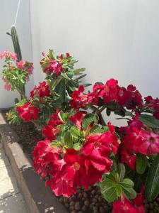 Cazazu Casa ideal para descanso e bem estar