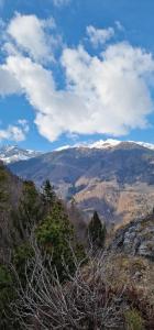 B&B Santa Brigida