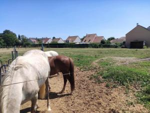 Villas Villa Chic and Cosy near Versailles : photos des chambres