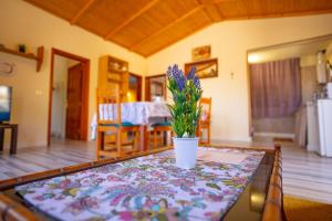 Casa Rural Buda Terra