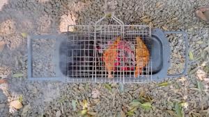 2Bhk Vacation Home Munnar, Adimaly