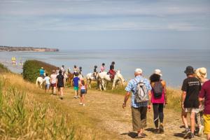 Hotels Belambra Clubs Colleville-sur-Mer - Omaha Beach : photos des chambres