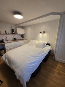 Appartements Studio proche de la gare : photos des chambres