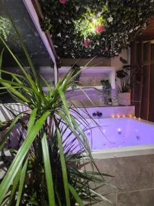 Love room au Castellet - 勒卡斯特雷特