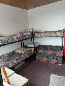 Les Cytises N304 - 2P6