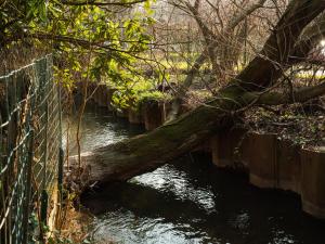 Quiet groundfloor garden apartment close to Milan - SMART WORKING, RELAX, BARBECUE, NETFLIX