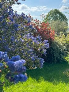Maisons de vacances Charming house Le Clos Marie : photos des chambres