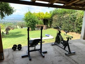 Home Holiday Vincland