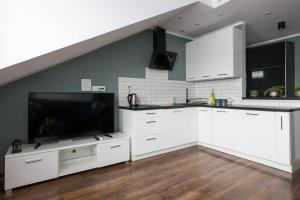 Elegant apartment 5 minutes from Wawel Castle