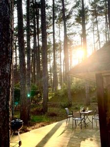 Maisons de vacances L Oree de la Pinede Hardelot Plage a 800 metres de la mer sous les pins : photos des chambres