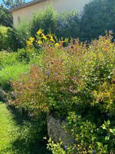 Maisons de vacances Paradis Provencal Villa - Espace Detente et BBQ LMV : photos des chambres