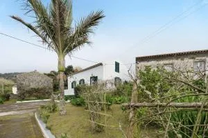 A Casa d'Amália - Ginetes