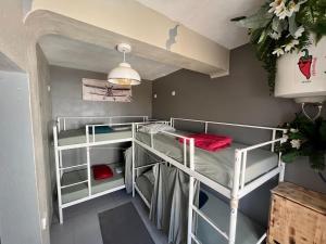 The Island Hostel & Café