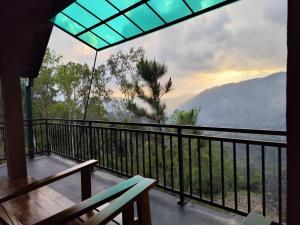 Miracle view Ella