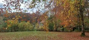 Kongsø Bed & Breakfast - Brædstrup