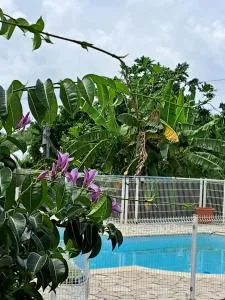 La Kreyole - 勒马兰