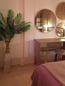 CITY CENTER APARTMENT