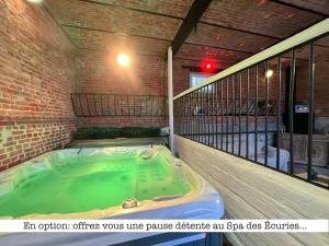Maisons de vacances Le Gite des Ecuries SPA, Domaine de Foreste : photos des chambres