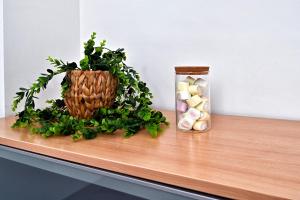 Apartamento Mitcentro