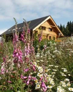 Srub Javorná - apartmány Šumava - Javorná