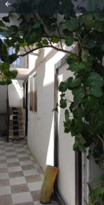 apartamento posada centro san andres islas